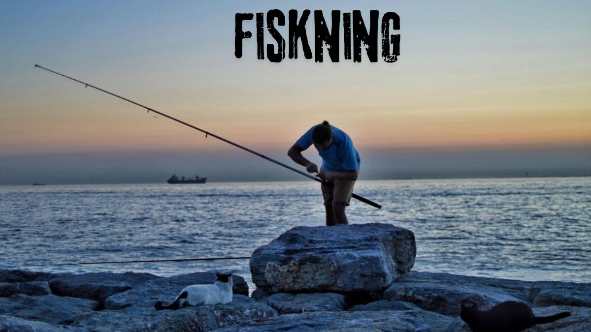 fiskning