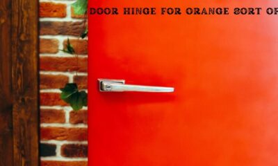 door hinge for orange sort of