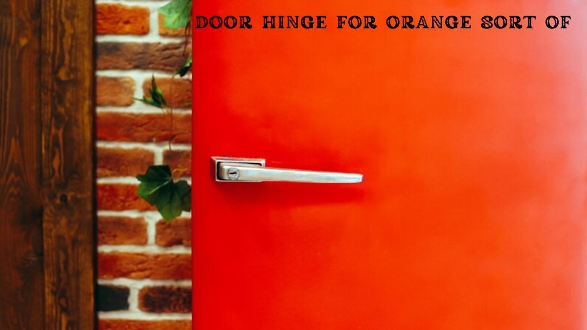 door hinge for orange sort of