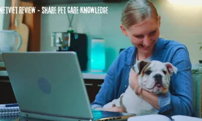 netviet review - share pet care knowledge