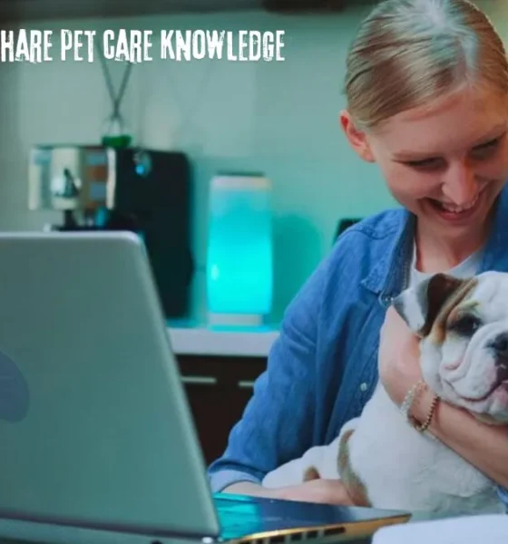 netviet review - share pet care knowledge