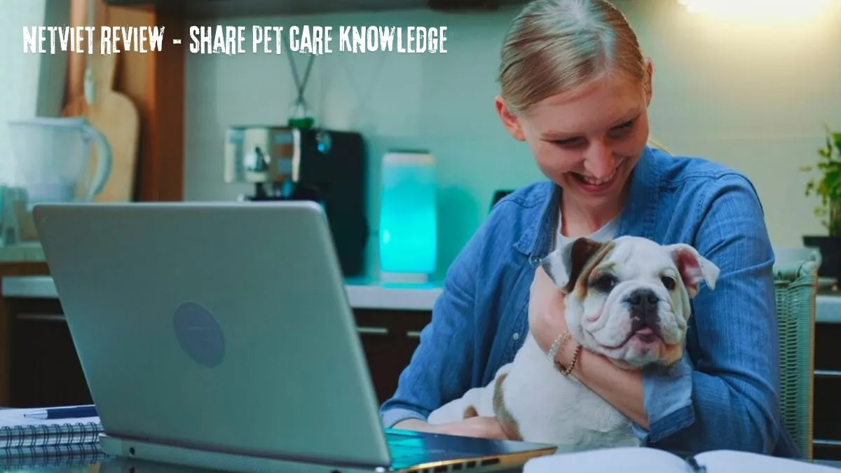 netviet review - share pet care knowledge