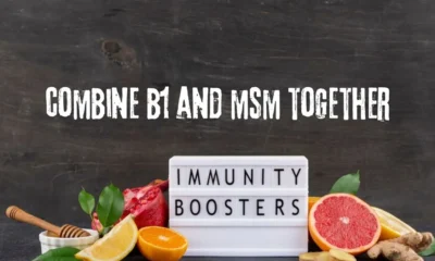 combine b1 and msm together