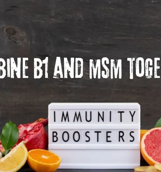 combine b1 and msm together