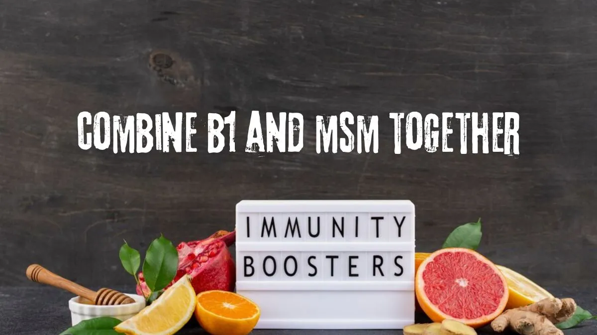 combine b1 and msm together